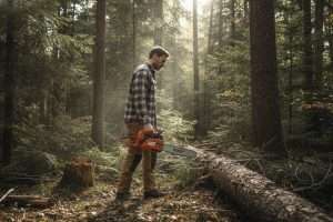 Stihl MS 162 : le test complet de la petite tronçonneuse