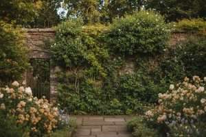 Palissage sur mur : guide complet pour vos plantes grimpantes